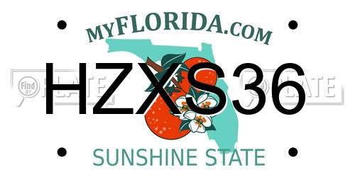 HZXS36 Florida License Plate