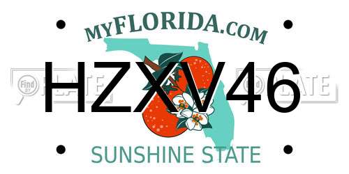 HZXV46 Florida License Plate