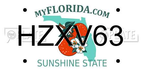 HZXV63 Florida License Plate