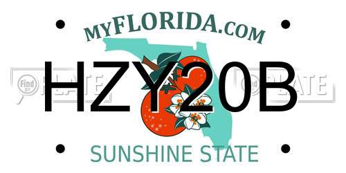HZY20B Florida License Plate