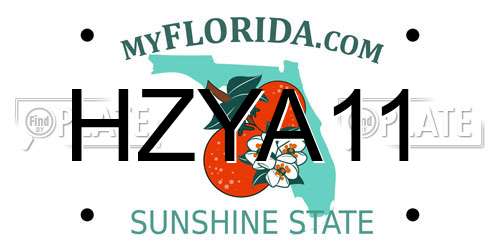 HZYA11 Florida License Plate