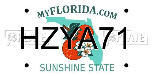 HZYA71 Florida License Plate