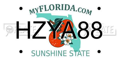 HZYA88 Florida License Plate
