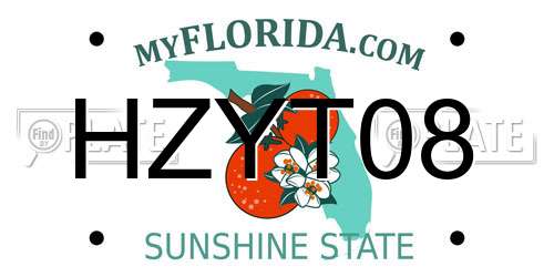 HZYT08 Florida License Plate