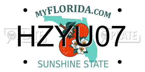 HZYU07 Florida License Plate