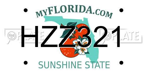 HZZ321 Florida License Plate