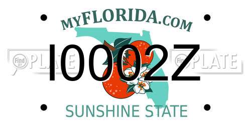 I0002Z Florida License Plate