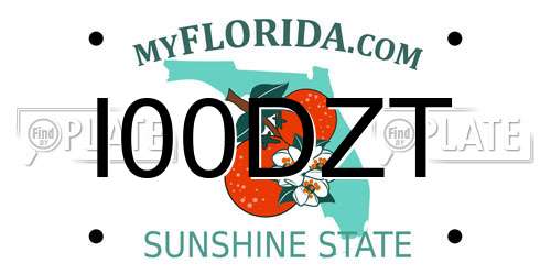 I00DZT Florida License Plate