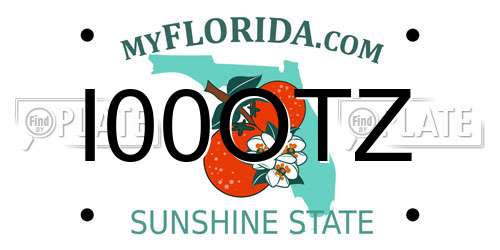 I00OTZ Florida License Plate