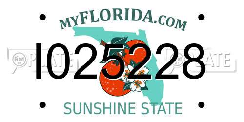 I025228 Florida License Plate