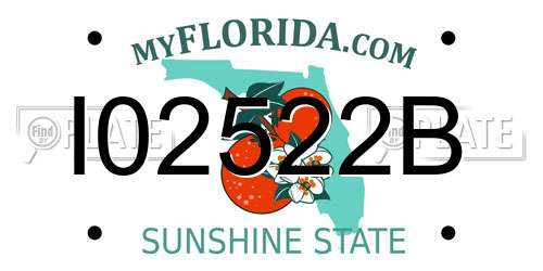 I02522B Florida License Plate