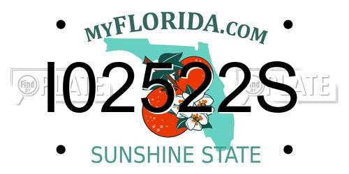 I02522S Florida License Plate