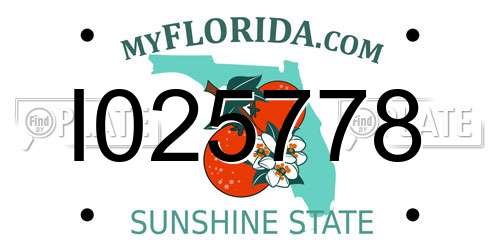 I025778 Florida License Plate