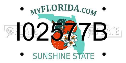 I02577B Florida License Plate