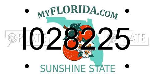 I028225 Florida License Plate