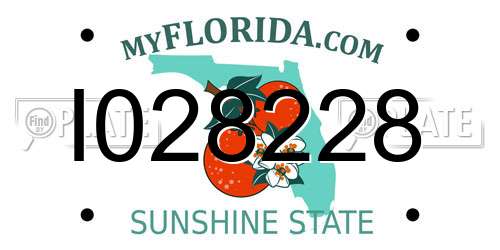 I028228 Florida License Plate