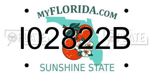 I02822B Florida License Plate