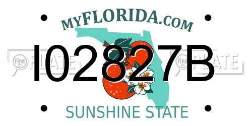 I02827B Florida License Plate
