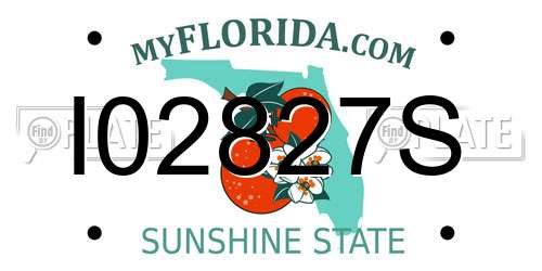 I02827S Florida License Plate