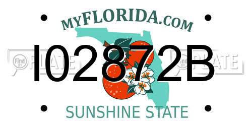 I02872B Florida License Plate