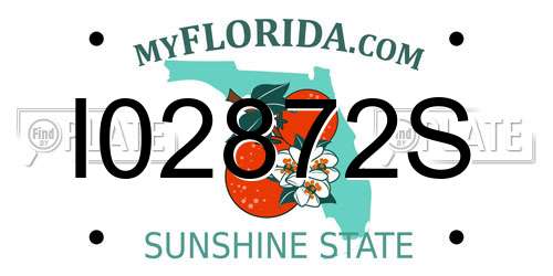 I02872S Florida License Plate