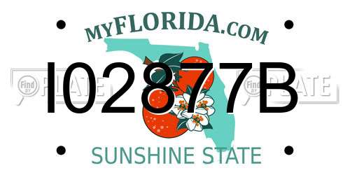 I02877B Florida License Plate