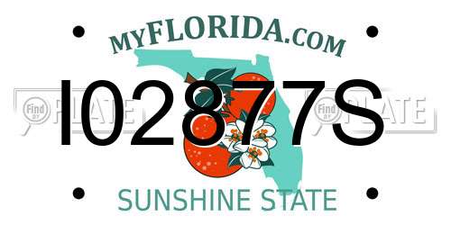 I02877S Florida License Plate