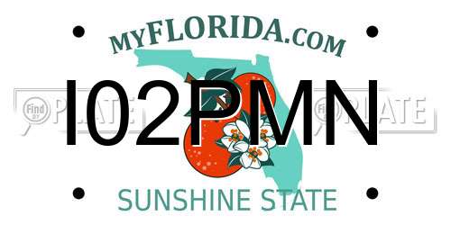 I02PMN Florida License Plate