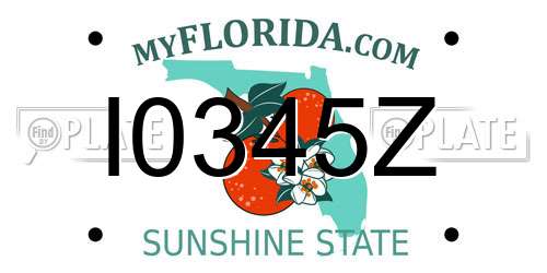 I0345Z Florida License Plate