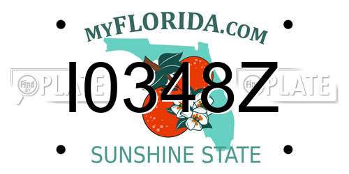 I0348Z Florida License Plate