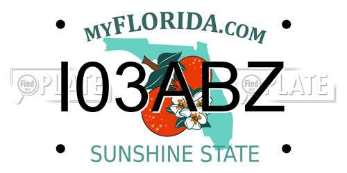 I03ABZ Florida License Plate