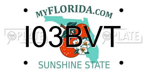 I03BVT Florida License Plate