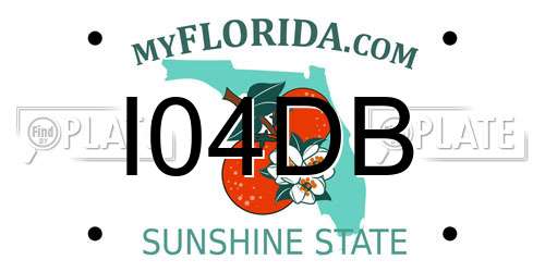 I04DB Florida License Plate