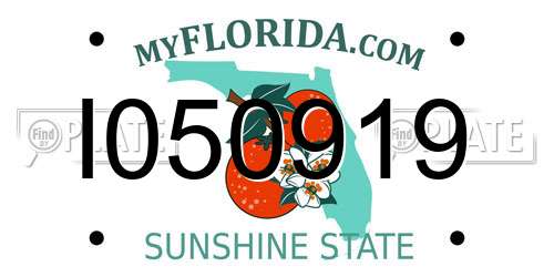 I050919 Florida License Plate