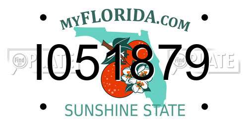 I051879 Florida License Plate