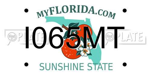 I065MT Florida License Plate