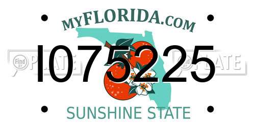 I075225 Florida License Plate