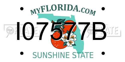 I07577B Florida License Plate