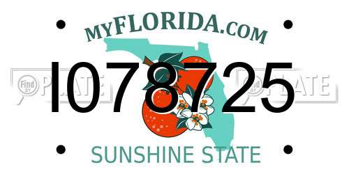 I078725 Florida License Plate