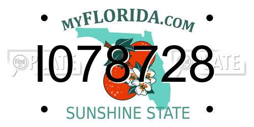 I078728 Florida License Plate