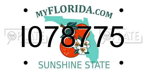 I078775 Florida License Plate