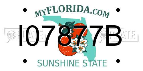 I07877B Florida License Plate