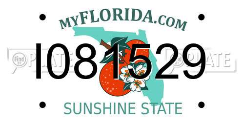 I081529 Florida License Plate