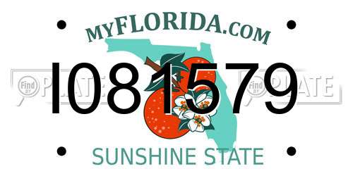 I081579 Florida License Plate