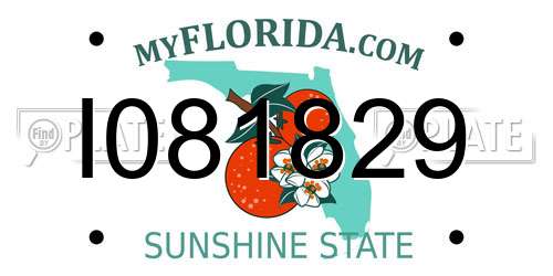I081829 Florida License Plate