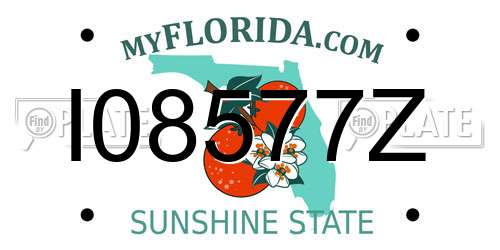 I08577Z Florida License Plate