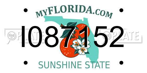 I087152 Florida License Plate