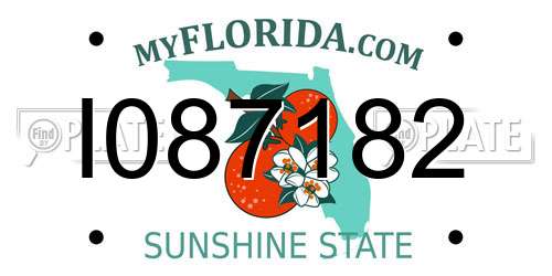 I087182 Florida License Plate