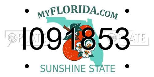 I091853 Florida License Plate