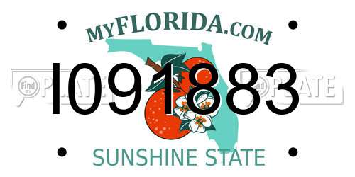 I091883 Florida License Plate